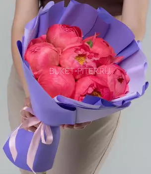 Букет из 7 Коралловых Пионов в Матовой упаковке LUX