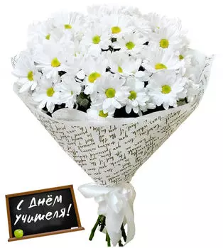 Букет из 7 Кустовых Хризантем в упаковке