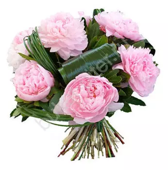 Букет из 7 розовых пионов