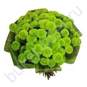 Букет из 9 хризантем