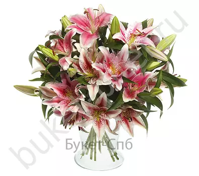 Букет из 9 розовых лилий