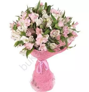 Букет из альстромерий розовых и белых