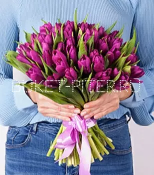 Букет из Фиолетового Тюльпана в атласной ленте