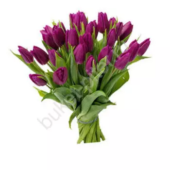 Букет из Фиолетовых Тюльпанов в атласной ленте