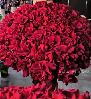 Букет из Красных Французских Роз