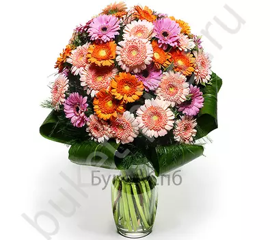 Букет из мини гербер микс