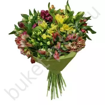 Букет из разноцветных альстромерий