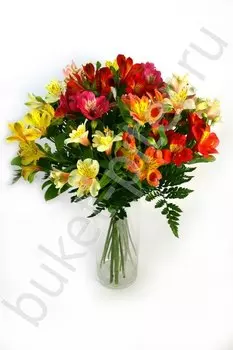 Букет из разноцветных альстромерий микс