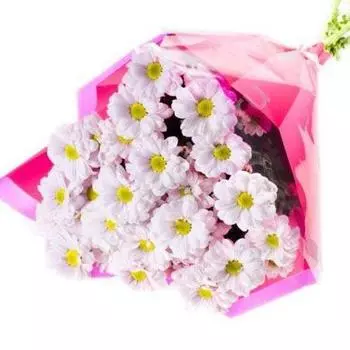 Букет из Ромашковых Хризантем в Упаковке