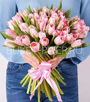 Букет из Розового Тюльпана в Атласной Ленте