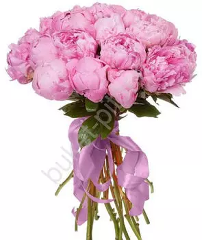 Букет из Розовых пионов