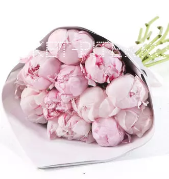 Букет из Розовых Пионов в Упаковке