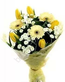 Букет из тюльпанов и кремовых гербер