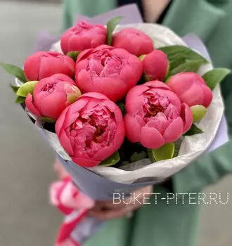 Букет Коралловых Пионов №18
