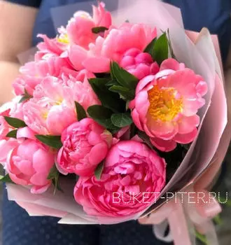 Букет Коралловых Пионов №19