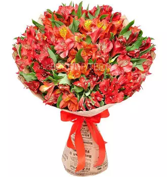 Букет Красных Альстромерий