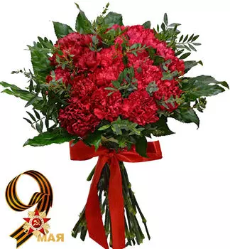 Букет Красных Гвоздик с Зеленью