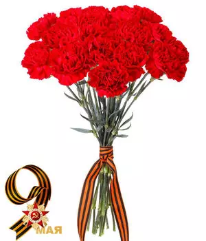 Букет Красных Гвоздик в Ленте