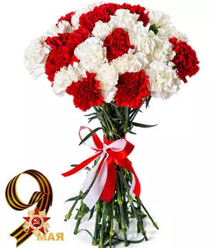 Букет Красных и Белых Гвоздик в Ленте