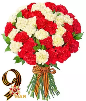 Букет Красных и Белых Гвоздик в Ленте