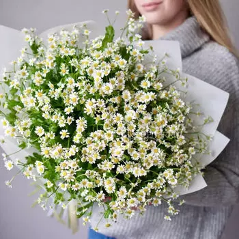 Букет Кустовых Ромашек