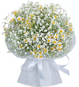 Букет Кустовых Ромашек и Гипсофилы