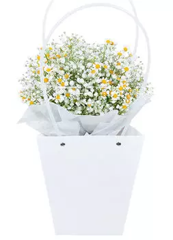 Букет Кустовых Ромашек и Гипсофилы в Плайм-пакете