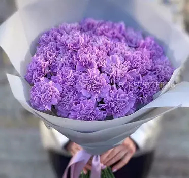 Букет Лавандовых Диантусов в Матовой упаковке