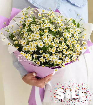 Букет Матрикарии в Матовой упаковке