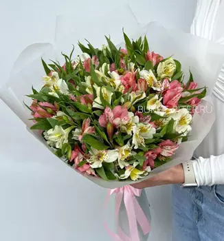 Букет Нежных Альстромерий в Матовой упаковке