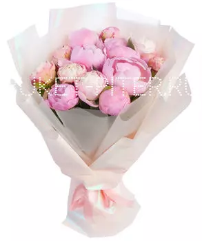 Букет Пионов Розовых в Светлой Упаковке