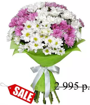 Букет Пышных Ромашковых Хризантем в Фетре