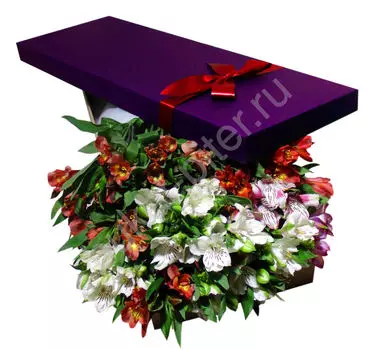 Букет разноцветные альстромерии в коробке