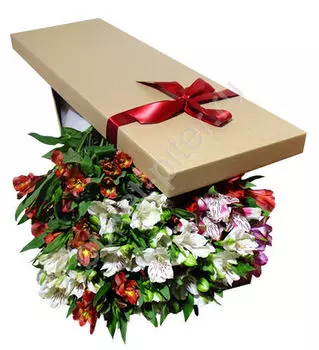 Букет разноцветных альстромерий в коробке