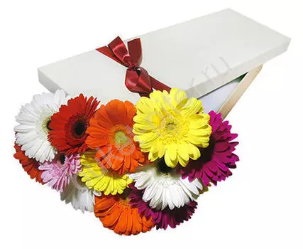 Букет разноцветных гербер в белой коробке