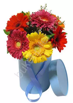 Букет разноцветных гербер в голубой коробке