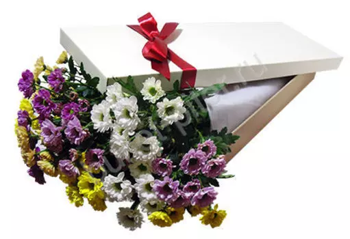 Букет разноцветных хризантем в белой коробке