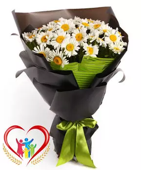 Букет Ромашек в Стильной Матовой упаковке