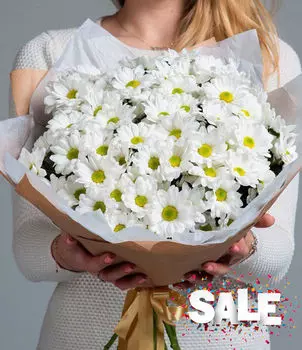 Букет Ромашковых Хризантем