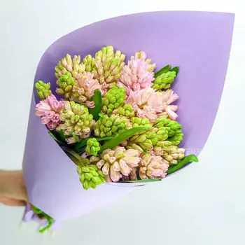 Букет Розовых Гиацинтов в Матовой упаковке LUX