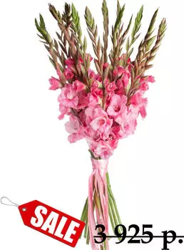Букет Розовых Гладиолусов