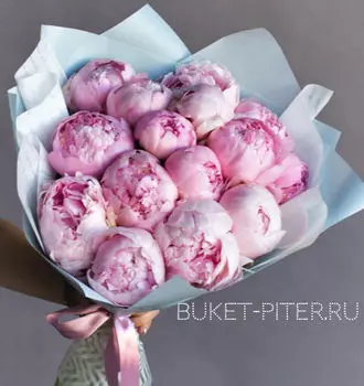 Букет Розовых Пионов №36