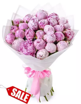 Букет Розовых Пионов в Матовой Белой упаковке