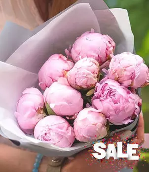 Букет Розовых Пионов в Матовой Упаковке LUX