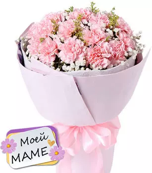 Букет Розовых Розовых Гвоздик с Солидаго