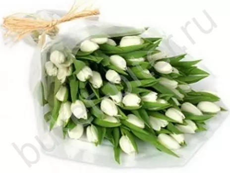 Букет с 51 белым тюльпаном