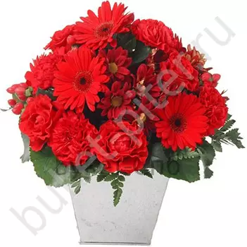 Букет с герберой, хризантемой и гвоздикой
