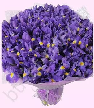 Букет с ирисами синими