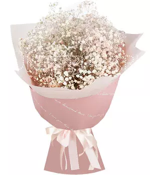 Букет с Нежно-Розовой Гипсофилой