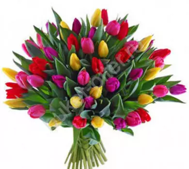 Букет с Тюльпанами 101 шт. "Любимой"